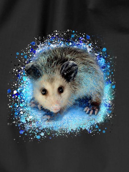 Opossum,mouse,rodent,graffiti