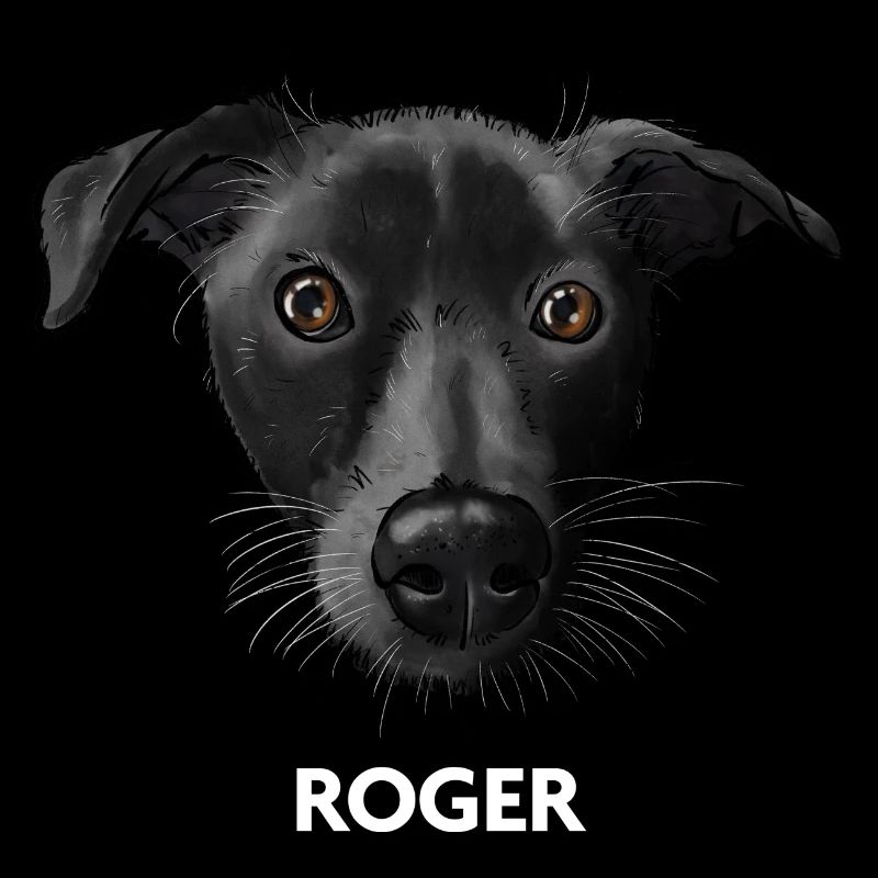 Roger 2