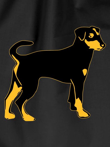 pinscher dog