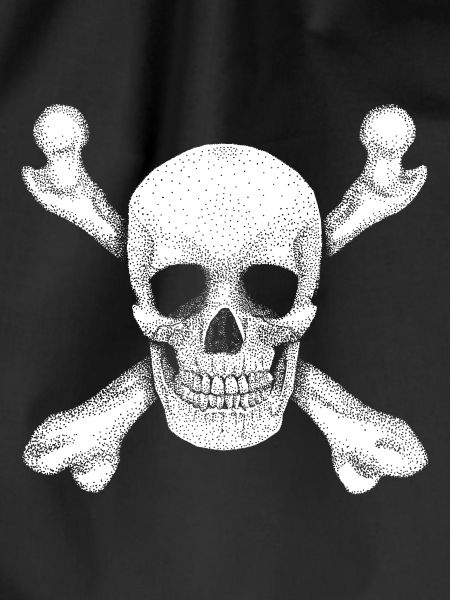 Jolly Roger Pirate Skull