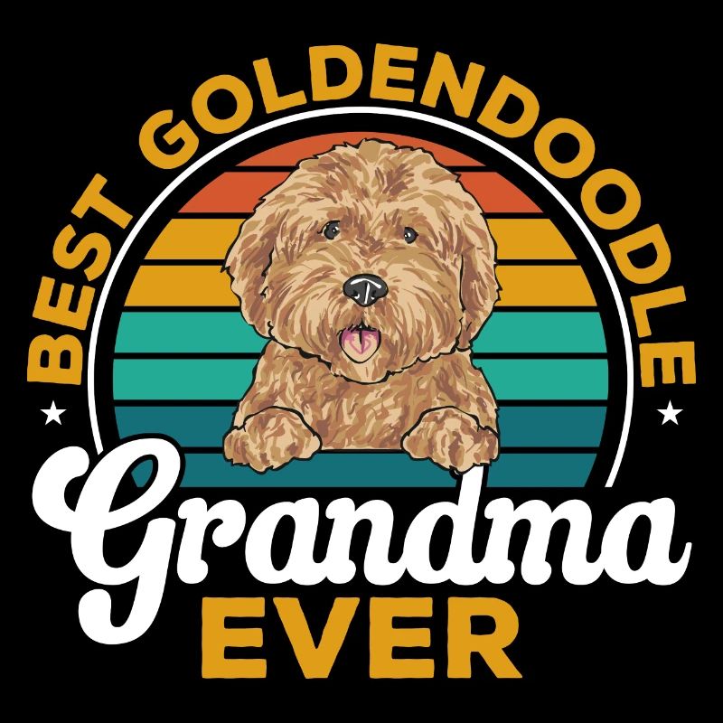 Goldendoodle Doodle Chien