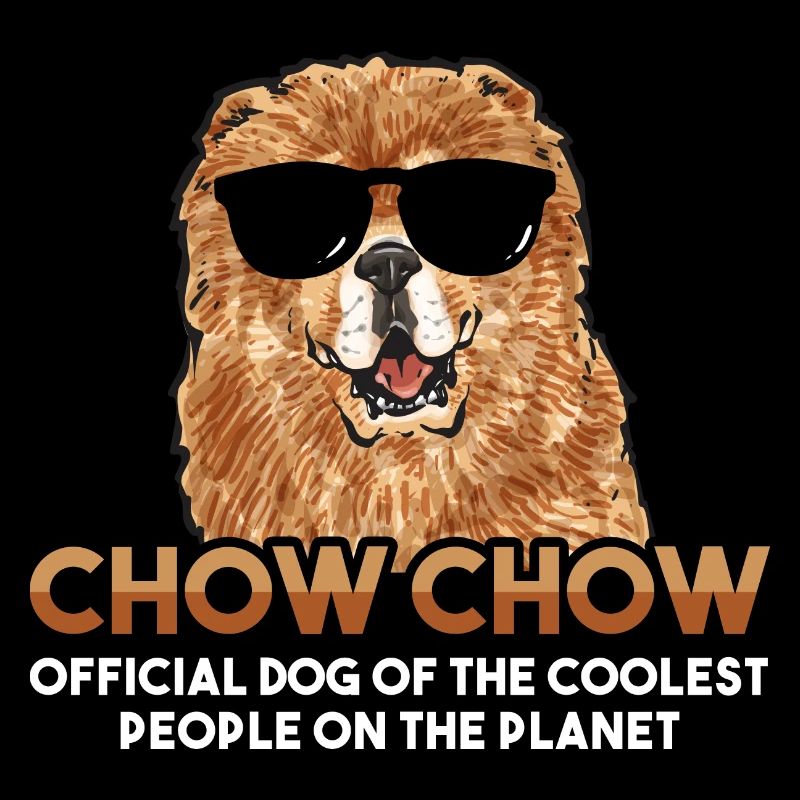 Chow Chow Chien