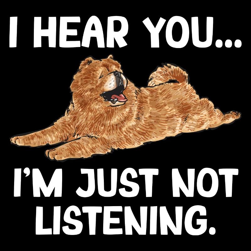 Chow Chow Chien