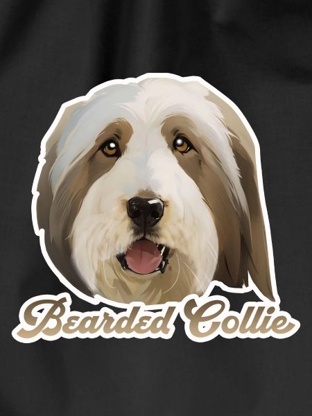 Bearded Collie