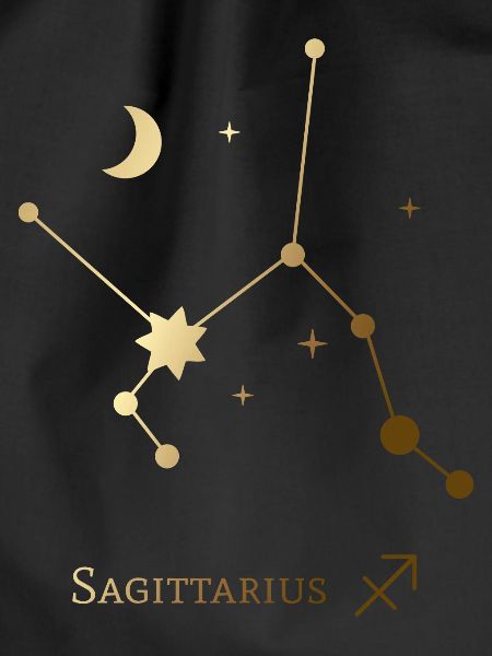 Sagittarius/Sagittarius