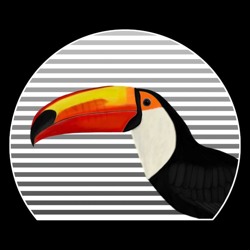 Toucan bird bird lover bird watcher