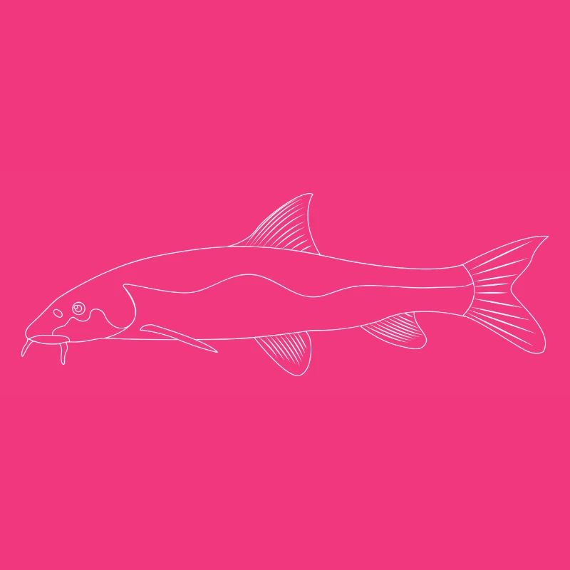 Barbe Fish