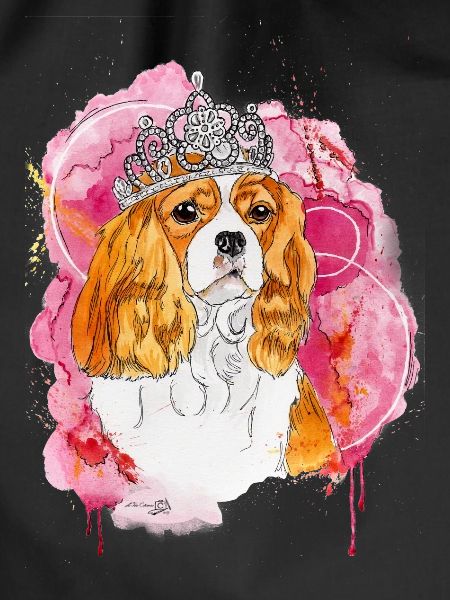 Cavalier KC Spaniel Bella