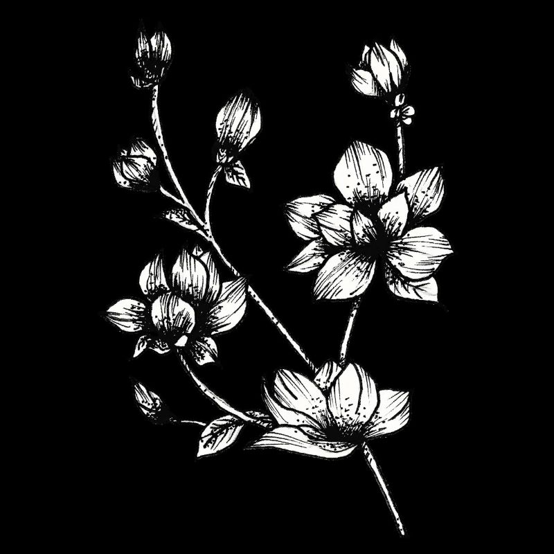 Dessin botanique / Calligraphie - branche fleur