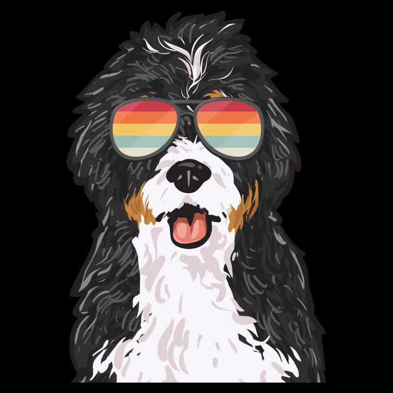 Bernedoodle Hund
