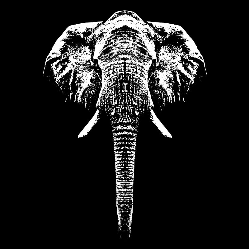 Eléphant / Portrait / Graphique