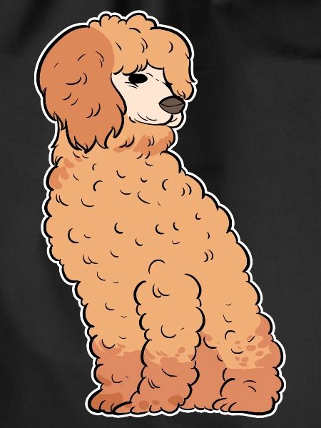 Poodle