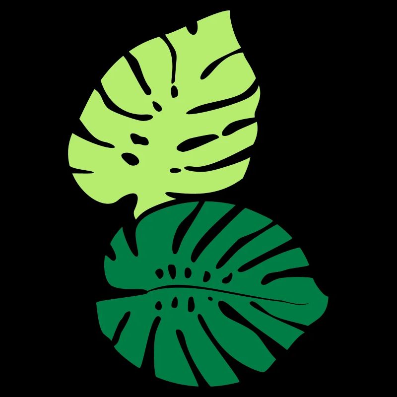 Deux MonsterAblättr / Two Monstera Leaves (2c)