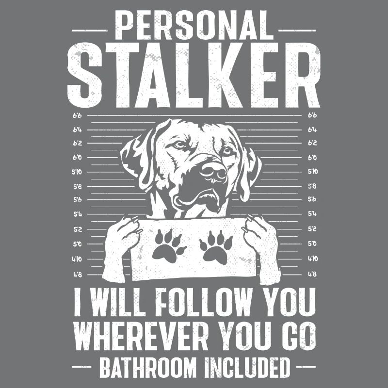 Rhodesian Ridgeback Dog