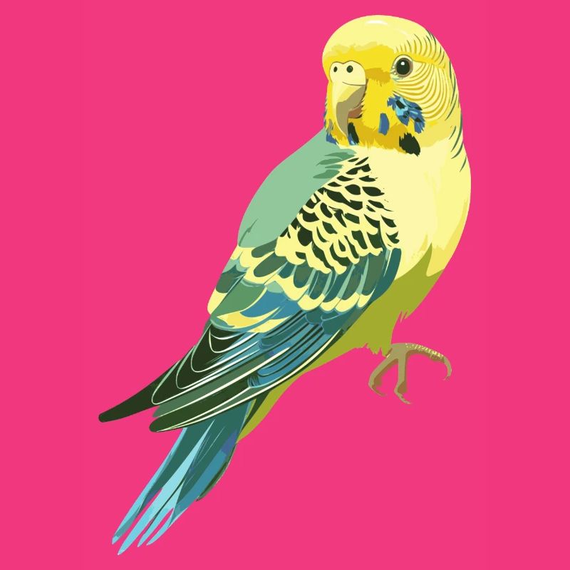 Budgerigar