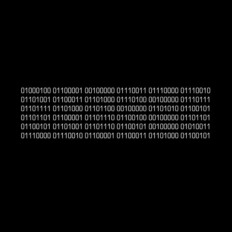 Somebody speaks my language in binary code