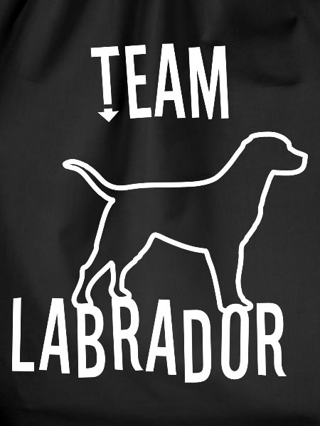 Team Labrador dog