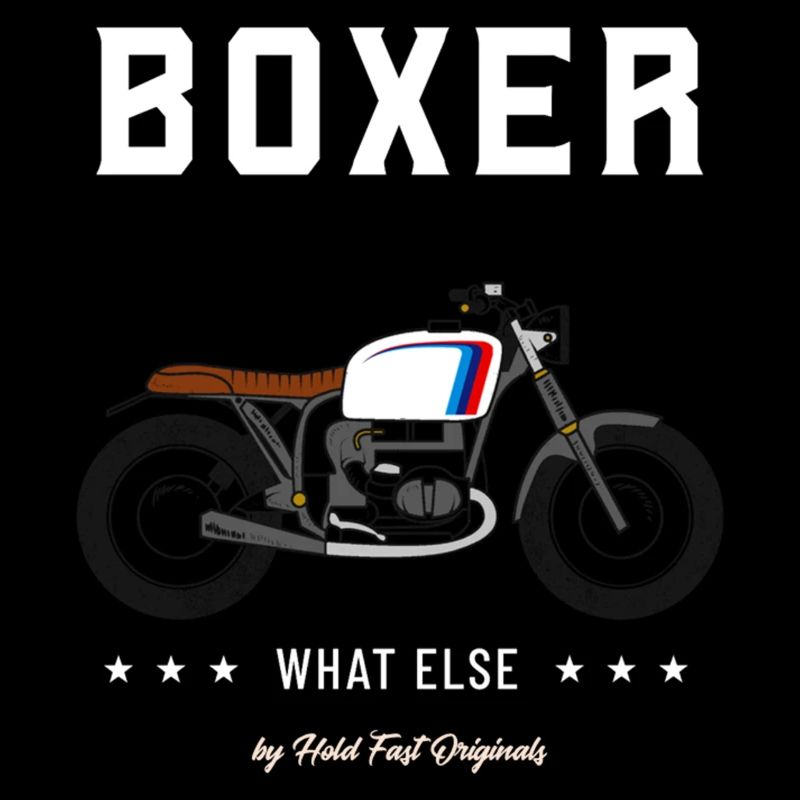 Boxer quoi d'autre