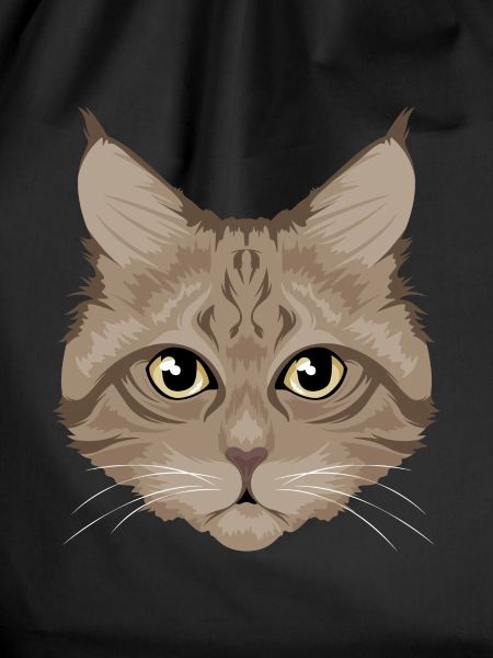 Brown cat / cat