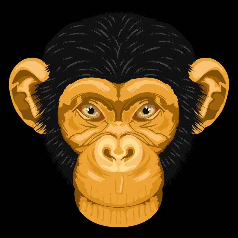 Singes Chimpanzés Singes