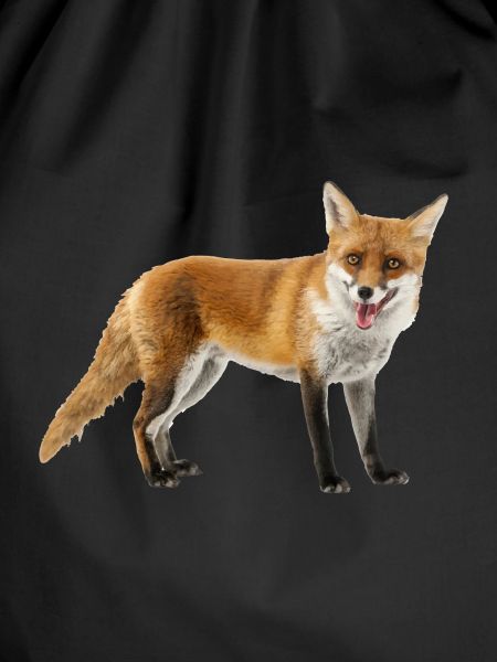 Fuchs