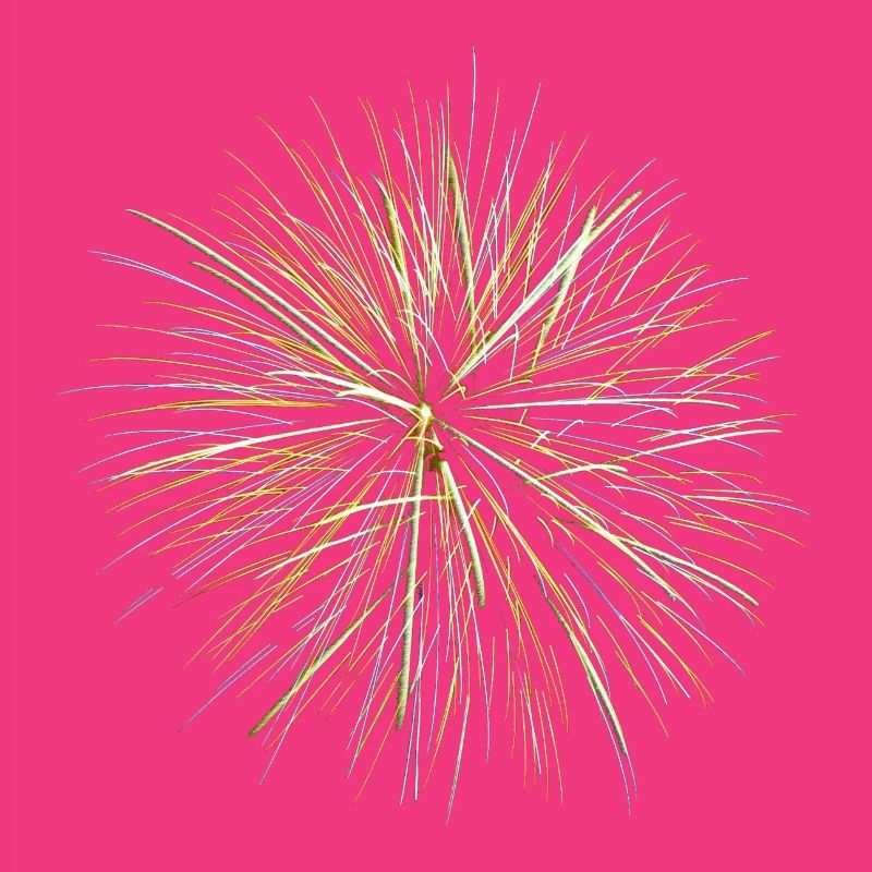 Feu d’artifice - Fireworks (multicolor)