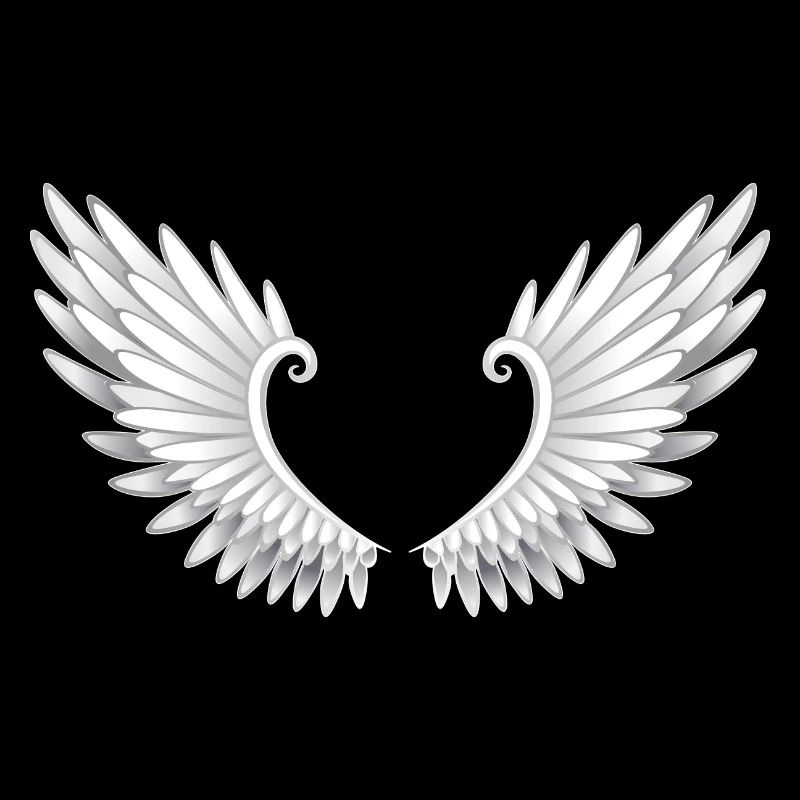 ailes d'anges