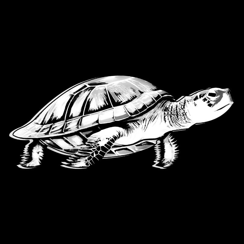 Tortue en noir et blanc