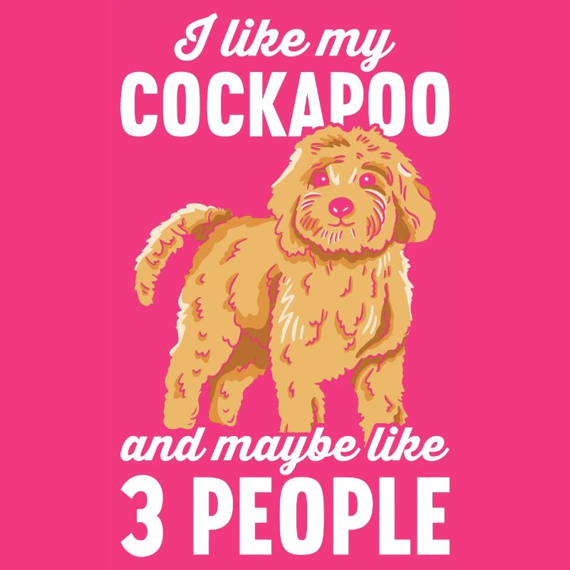 Cockapoo Hund