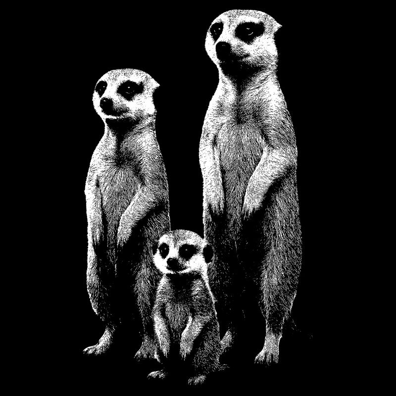 Erdmännchen hell