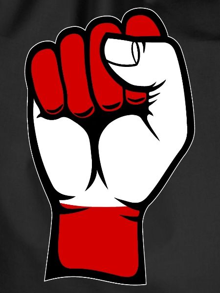 Austria Flag Fist