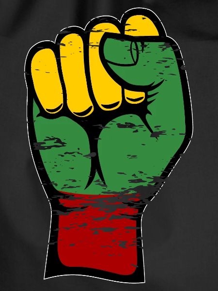 Lithuania flag fist used