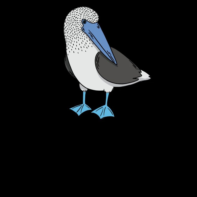Gannets Seabirds Blue-footed