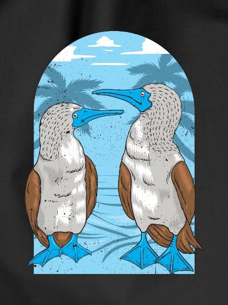 Seabirds Blue-footed