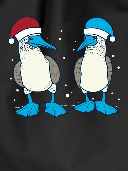 Blue-footed booby Christmas