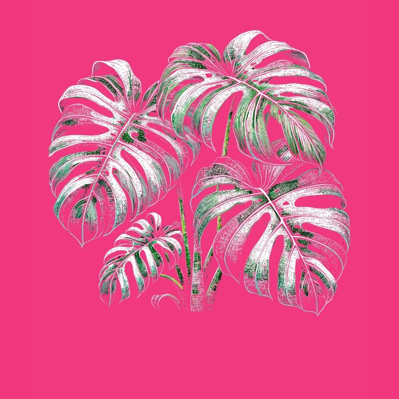 Variegated Monstera