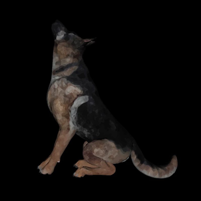 German shepherd