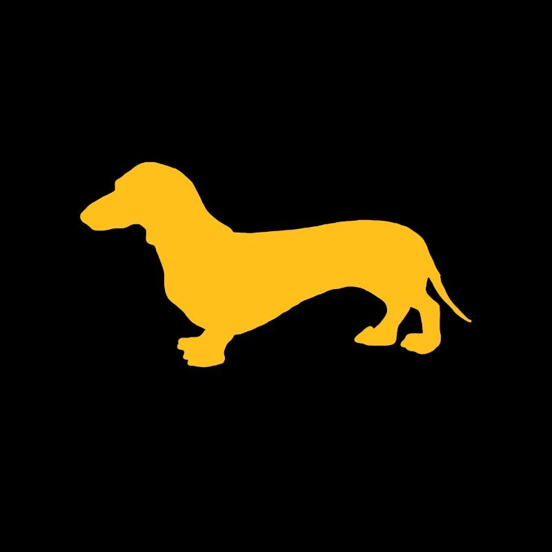 dachshund