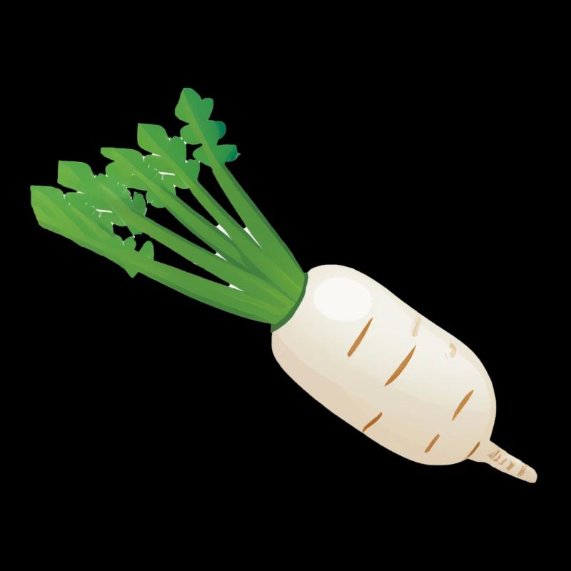 Radish