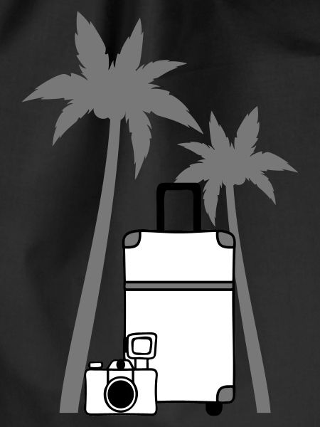 Camera Suitcase Palme
