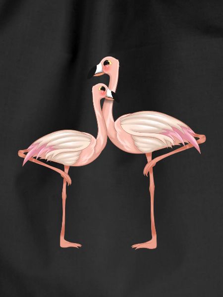 Flamingo couple comic