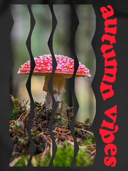 autumn 61 fly agaric
