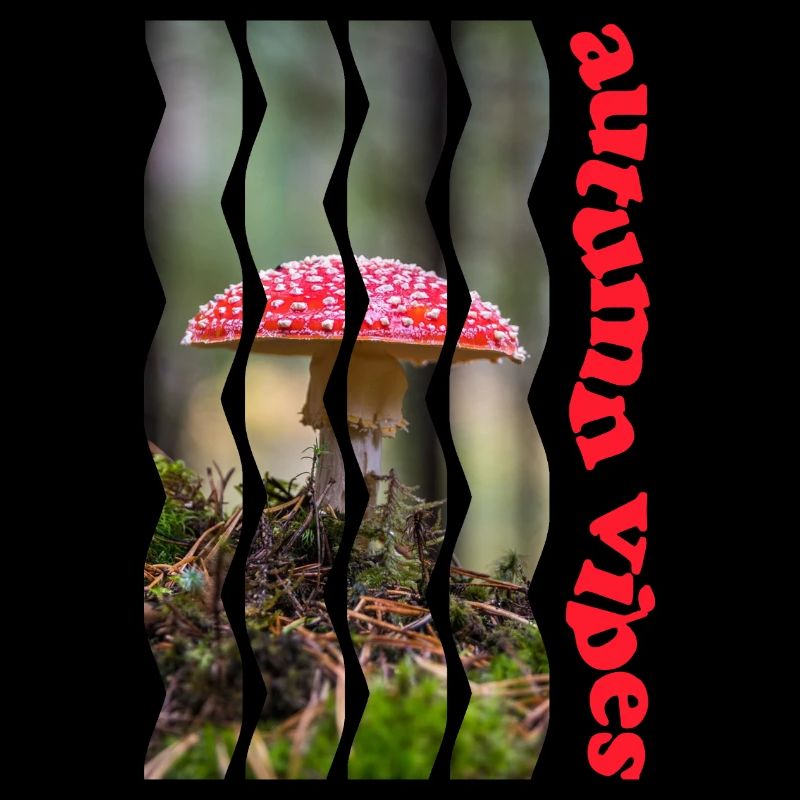 autumn 61 fly agaric