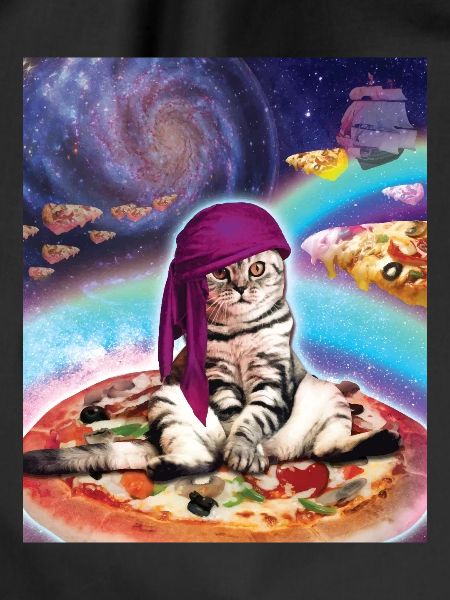 Space Cat Pizza