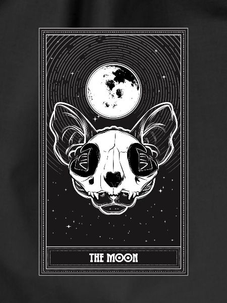 The Moon