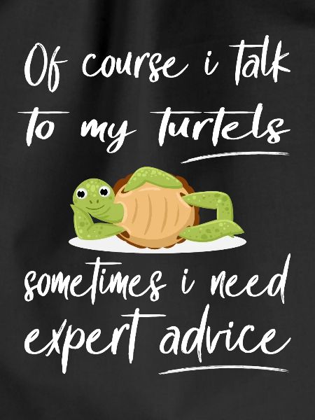 Funny Turtle Design Pet