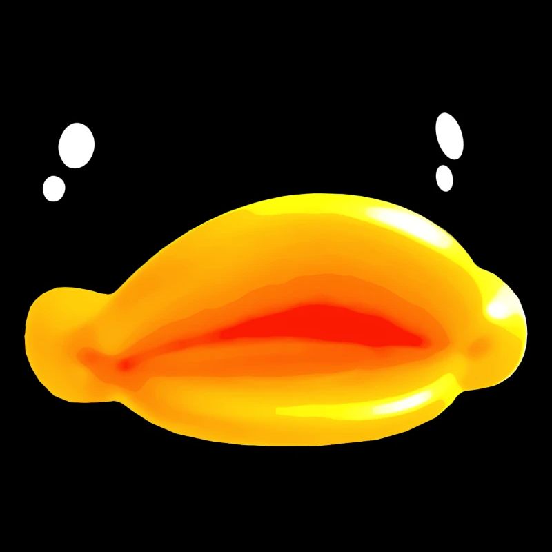 canard canards duck enfants bain