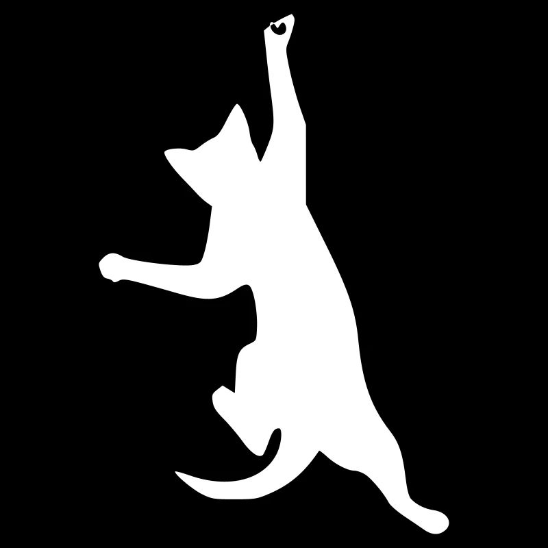 Le chat est suspendu