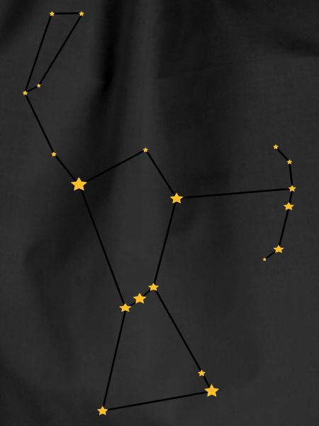 Constellation Orion Zodiac