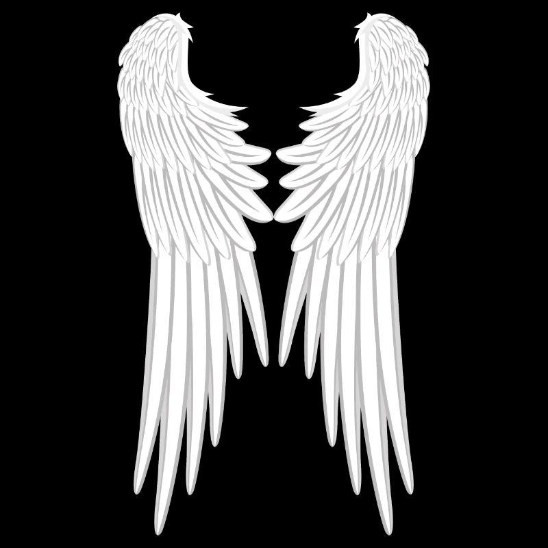 Ailes d'anges